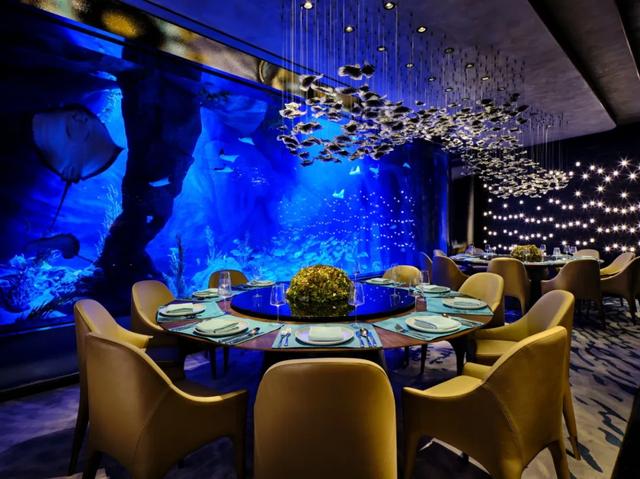畅游“上海之根”住高品质酒店，建筑奇迹、绝美风景、舌尖美食、电影主题全都有丨国庆松江，精彩不断