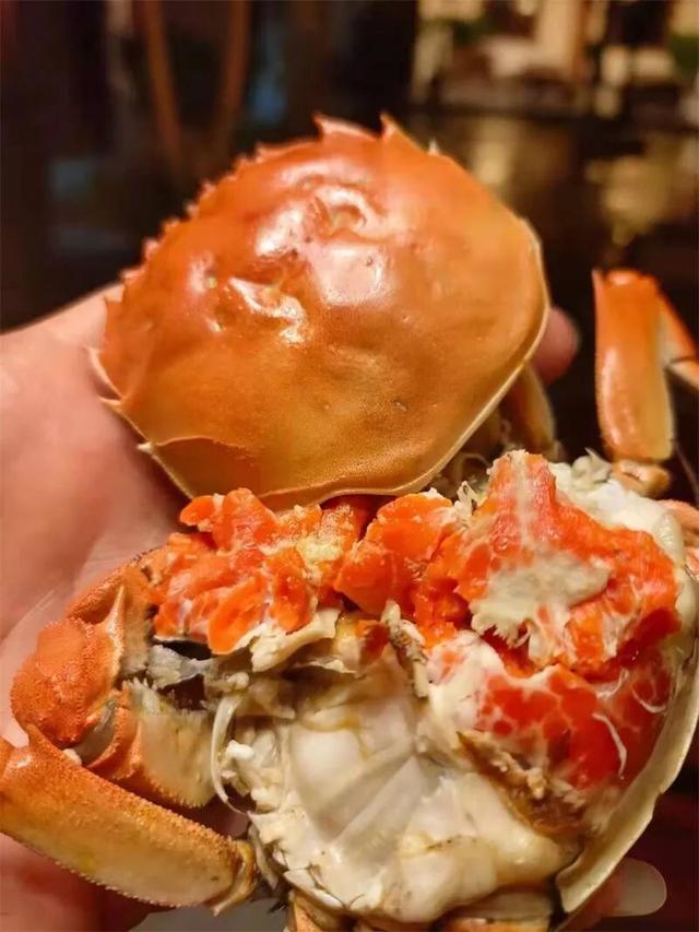 红河州庆专列来啦，上车，吃席去！