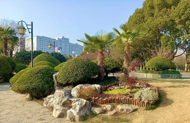 邂逅转角花境 一路一景串联高新区生态画廊