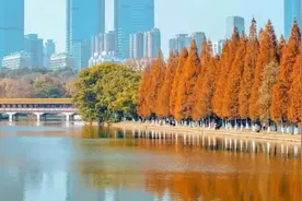 气温直冲20℃，湖南近期为何温暖如春？图片