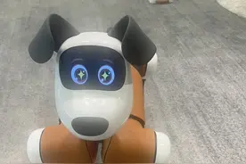 从掌机走向家庭替代萌宠？当机器狗被“遛”上街图片