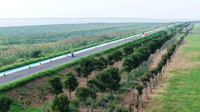 赤黄红·洪湖情 | 2025环洪湖马拉松，跑进水乡新画卷！
