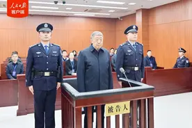 写过官场小说的副部级“老虎”获刑！图片