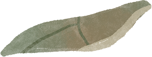 200元起飞！许多巴彦淖尔人都忍不住了......