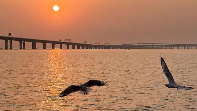 东大洋“海上穿越大桥”环游航线单日载客3155人！有人专程为它来青岛！