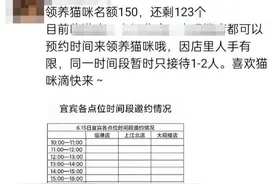 宠物店“免费领养猫咪”藏套路：领养人须签协议购买两年猫粮等 被认定变相销售图片