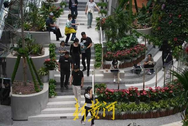 雨天难挡鹊山生态文化区游园情，游客尽享“鹊华烟雨”诗意