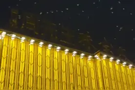 科技圆桌派｜福建一公园上空半月来现大量飞鸟 专家：家燕南迁，是正常现象图片