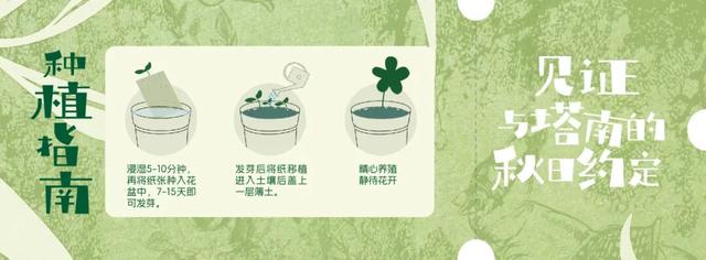 周末，来州桥塔南小集拾秋光！