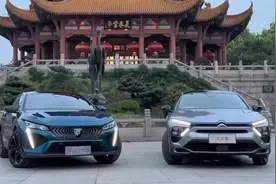 法系车在华市场份额跌至0.3%，多款车型月销量仅三位数图片