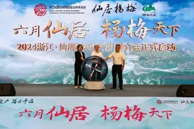 推介会上，地道清甜的仙居杨梅，老杭州说“落胃”图片