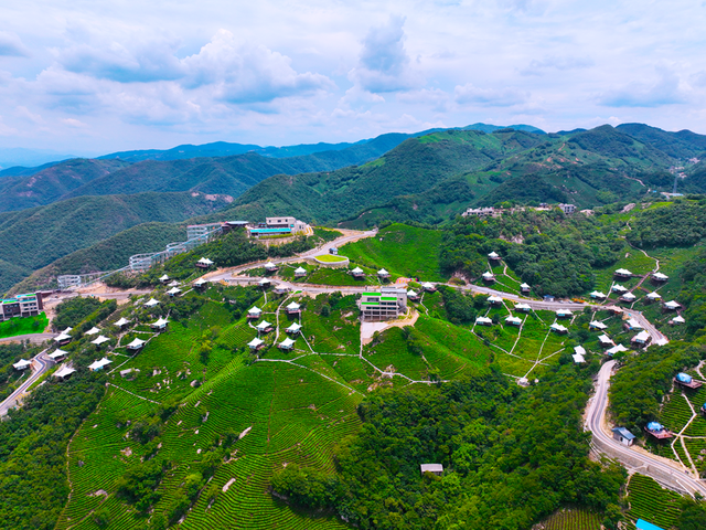 信阳浉河区：法治护航 毛尖飘香