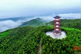 吃喝玩乐“衡”有味丨耒阳市春节游玩消费推荐图片