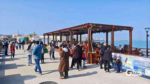 青岛“海上穿越大桥”航线火爆出圈，总销售额突破百万元