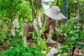 1000余种花卉免费赏，武汉世界花园大会4月27日开幕图片