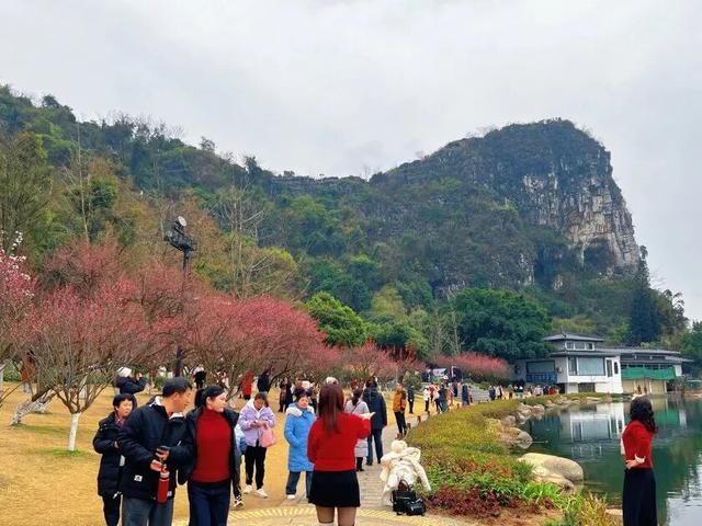 新春走基层丨桂林市区公园景区游人如织年味浓