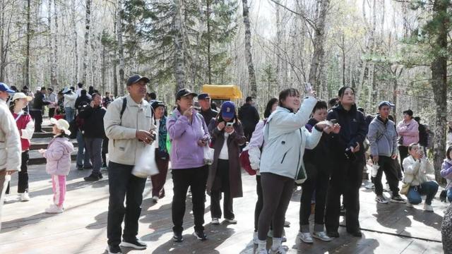 观“五花山”色 享生态康养｜伊春，藏不住了！“林都红”火爆出圈，景区人气爆棚！