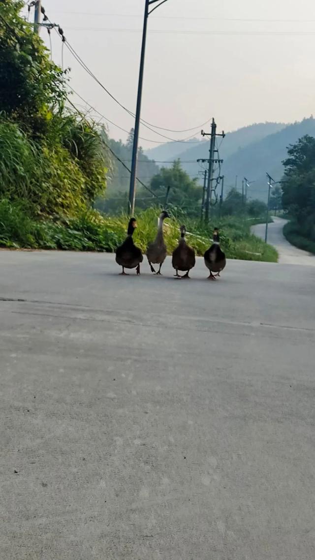 告别网红城市，曾被嫌弃的家乡“隐藏款”才是真香