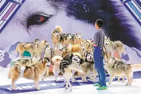 神奇萌宠在哪里？第10届深宠展10月13日至15日举行图片