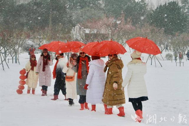 ​东湖梅花枝头俏，大雪里的“中式美学”尽显诗意