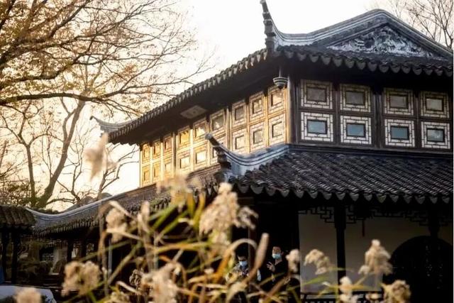 苏州的秋天，给你点“颜色”看看！
