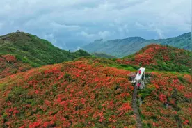 湖南这9个生态避暑胜地，官方推荐！图片