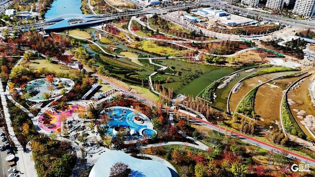 青岛人家门口的“生态园”：一河秋景，满园生机