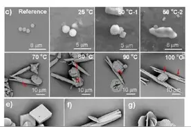 长期自己烧水喝的人和经常买桶装水喝的人，谁更健康？结果出乎意料图片