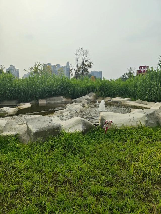 热度高！通州这个新公园到底有啥魅力？小编现场实探，附开放时间......