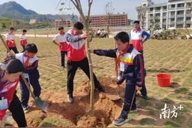 信宜：绿美春风进校园，师生共“树”未来图片