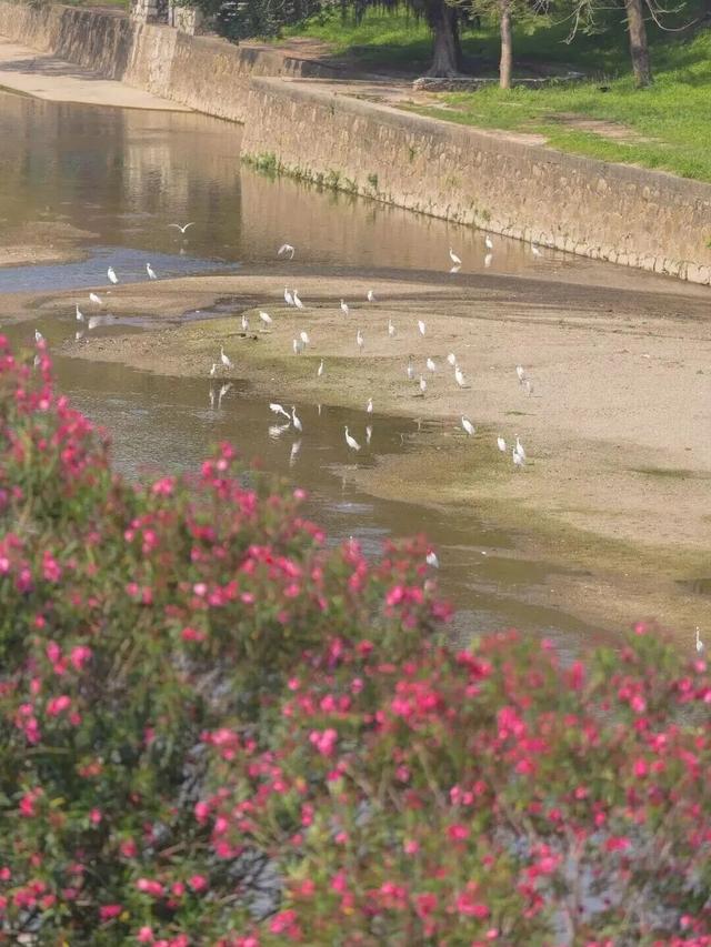 “春运都没这么多人”！深圳知名景区刷屏，网友纷纷“劝退”！