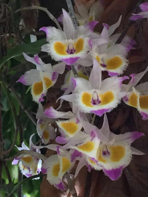 趁秋色浪漫，见一面吧