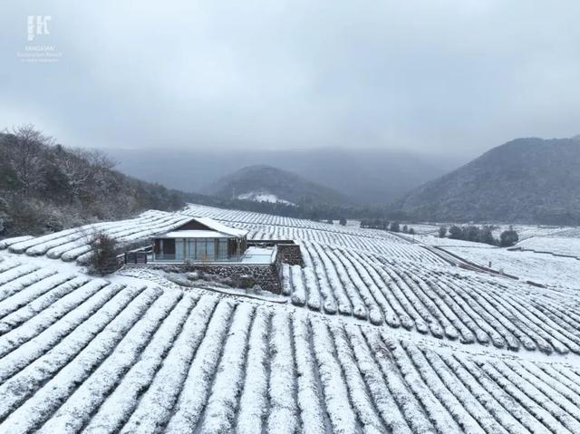 宜兴一下雪，就美成了阳羡！