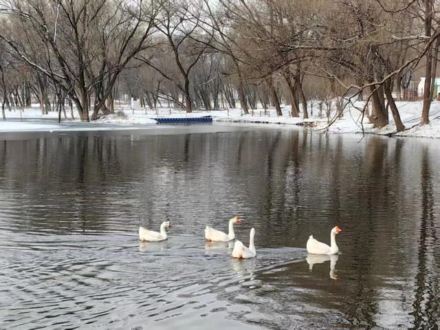 这是2026年昌平的第一场雪！