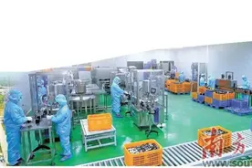奋进高质量 阳春启新程图片