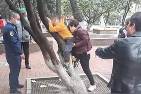 顽童爬树被卡树杈，消防员快速营救图片