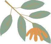 “党建红”点亮“枫”景丨栖霞山 “红枫护卫队” 上线！