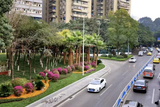 重庆渝中：打造“小而精”“小而美”的山水都市