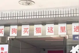 商家不明示，买来的宠物竟是“禁养犬”？办狗证还有门道？图片