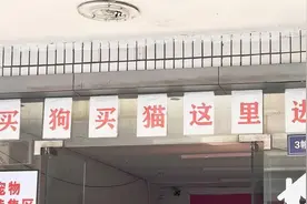 商家不明示，买来的宠物竟是“禁养犬”？办狗证还有门道？图片