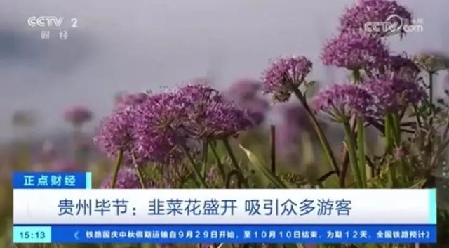 热门榜单，贵州第一！毕节等你来