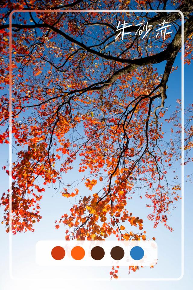 @0731，一组绿心秋色卡，请查收！