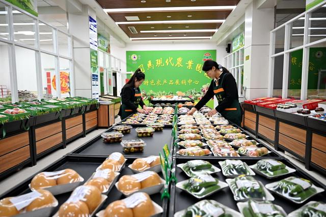 河北沧州：大运河堤顶路铺就美好生活新图景
