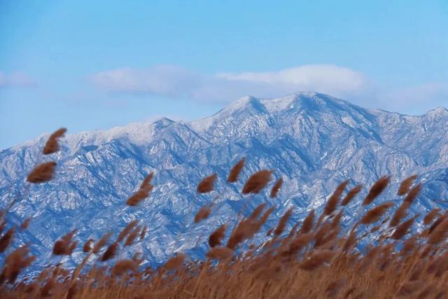 绝美！北京“蓝调”冰瀑奇观，惊艳亮相 | 周末京郊微度假