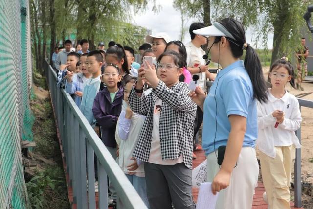 研学新体验：观鸟＋编鸟窝＋拿证书，三重收获！