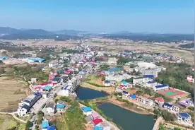 龙洞镇：稻丰油香兴产业 大将故里颂传奇图片