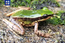 云南又有新发现！图片