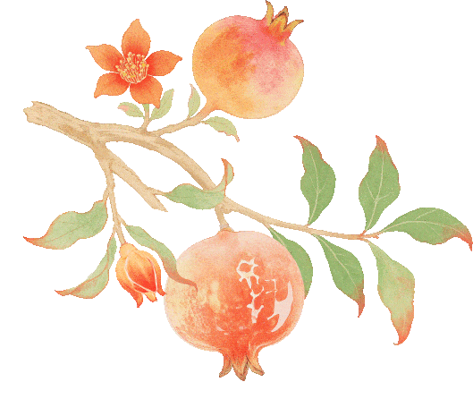 漫步街头巷尾，寻找冀南新区独有的初冬韵味