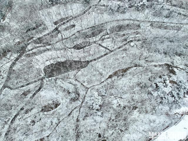 这雪景，简直就是送给青岛人的周末惊喜！