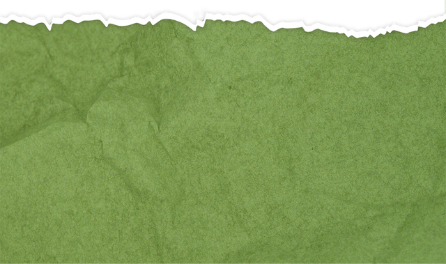 文旅｜济宁再添“五星级”民宿！你的诗和远方又添新选择